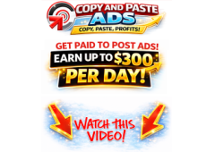 LOOKING FOR A BUSINESS YOU CAN PROMOTE ONLINE?